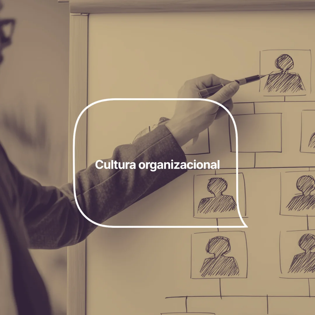 Cultura organizacional